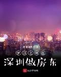 小說《夢迴之苟在深圳做房東》