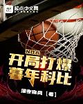 小說《NBA：開局打爆暮年科比》
