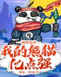 小說《神級選擇：我的熊貓億點強》