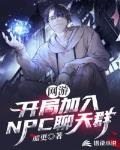 小說《網遊：開局加入NPC聊天群》