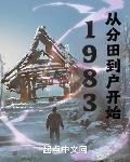 小說《1983：從分田到戶開始》