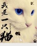 小說《我是一隻貓》